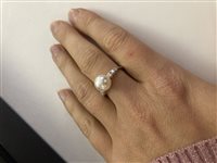 Anello Recarlo Donna Anniversary in Oro bianco Perla R01MS748/AK0850-14 - R01MS748/AK0850-14